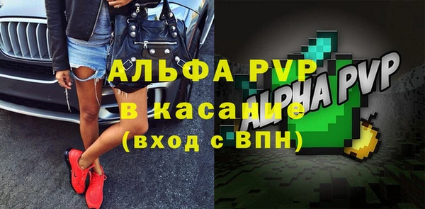 apvp Вяземский