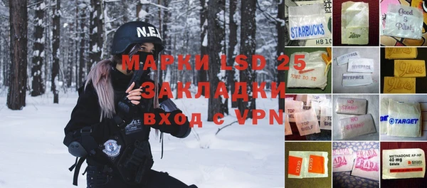 apvp Вяземский
