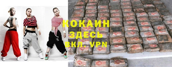 apvp Вяземский