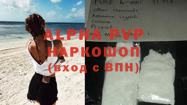 apvp Вяземский
