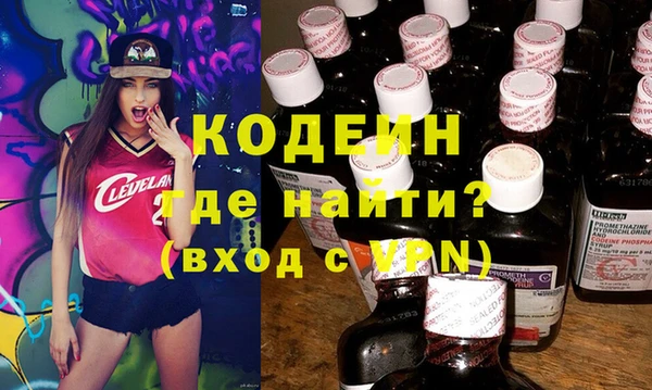 apvp Вяземский