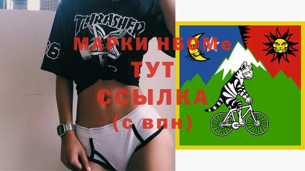 apvp Вяземский